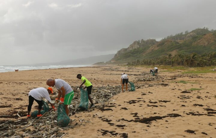 Illustrative image of plastic waste collected during a beach cleanup