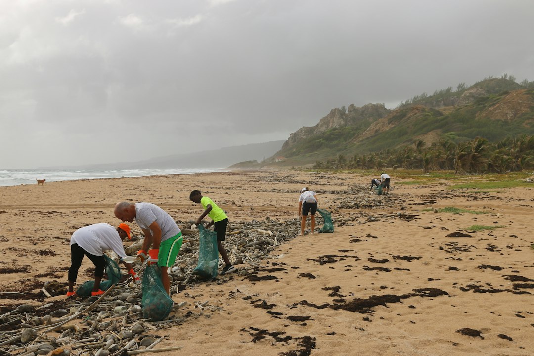 Illustrative image of plastic waste collected during a beach cleanup